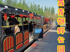 -西青郊野公园