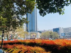 -绵阳人民公园(涪城区)