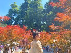-广州市帽峰山景区