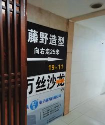 点击看大图 大厅-藤野造型