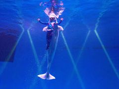 -芜湖新华联大白鲸海洋公园