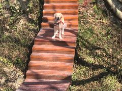 -南京市无想山景区