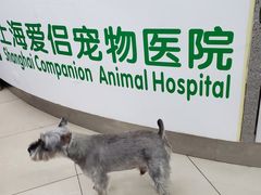 -爱侣宠医·鹦鹉专科·小型哺乳类·异宠专科(灵石路店)