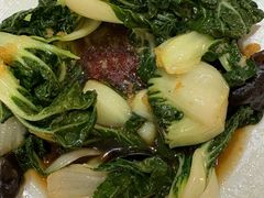 -一轩饺子馆(丽都店)