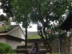 -中铁花水湾温泉酒店(大邑店)