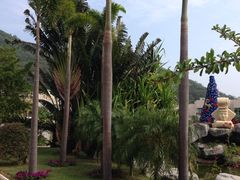 -三亚亚龙湾凯莱仙人掌度假酒店