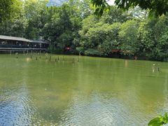 -侨美·唐荔园·40年地道粤菜