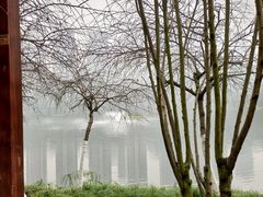 -重庆彩云湖湿地公园