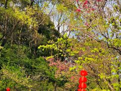 -广州市帽峰山景区