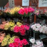 全球旗舰店[得意]北京首家优衣库花店🌹[礼花]绿啦❗️