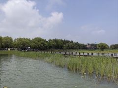 -苏州太湖湖滨国家湿地公园
