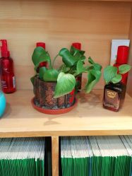 点击看大图 -爱秀造型