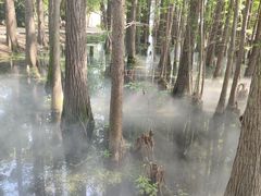 -东湖落雁景区