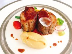 -蝶舍·MAISON PAPILLON