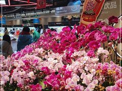 -盒马鲜生(顺义店)