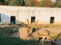 -武汉紫薇都市田园