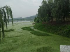 -美味居(古城店)