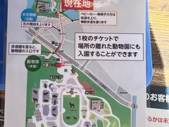 -井之头恩赐公园