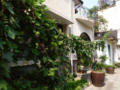 -中国蓝印花布馆