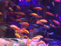 -沈阳海洋探索中心