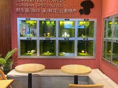 -芸山季·云南野生菌火锅(宝能环球汇店)