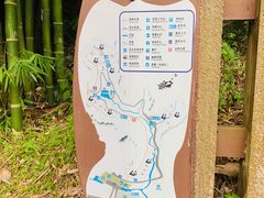 -都江堰中华大熊猫苑