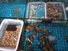大堂-闽鲜森霞浦海鲜城