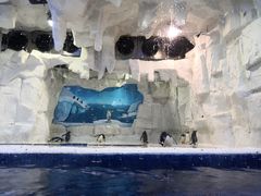 -华夏文旅海洋公园