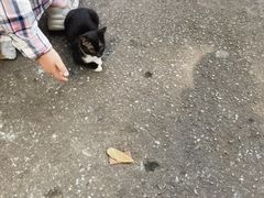 -圣约瑟夫大教堂