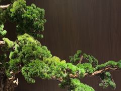 -喜湘宴·精致湖南菜(和平西桥店)