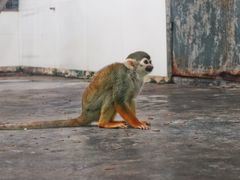 -西安秦岭野生动物园