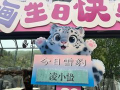 -青藏高原野生动物园