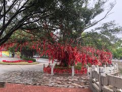 -南沙天后宫景区