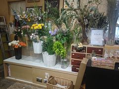 -知物癖(牛王庙店)
