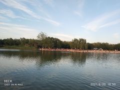 -大兴滨河森林公园