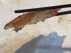 -凤厨顺德水乡凤味馆(大良锦龙路店)