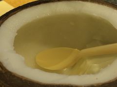-志龙皇冠吃货椰子铺