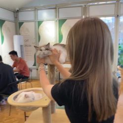 -DL HOPE明星造型