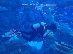 -成都浩海立方海洋公园