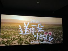 -伏小桃(明瓦廊店)