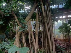 -昆明植物园
