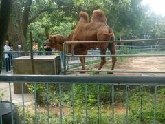 -广东茂名森林公园