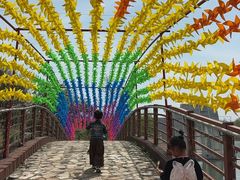 -大塘金香草谷
