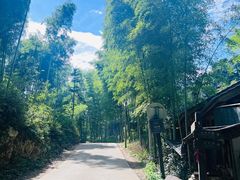 -水墨汀溪风景区