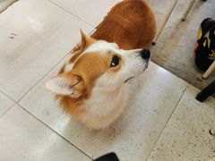 -小梁哥云吞面(黄贝岭店)