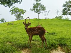 -良渚古城遗址公园