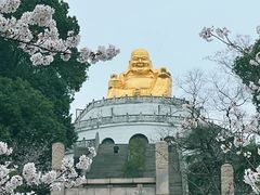 -苏州上方山国家森林公园