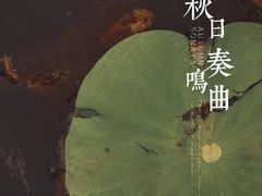 -前关湿地公园