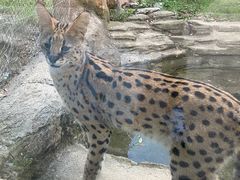 -杭州野生动物世界