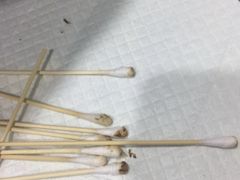 -爱诺动物医院(崂山店)